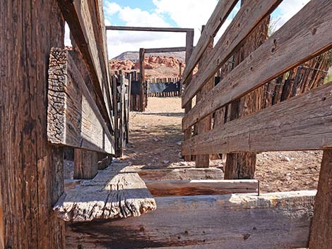 Mud Wash Corral