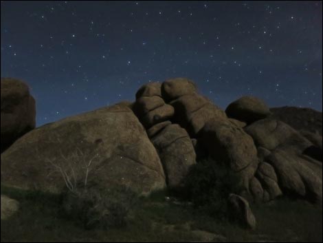 Gold Butte Townsite