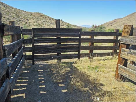 Willow Wash Corral