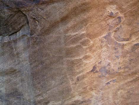 Gold Butte petroglyphs