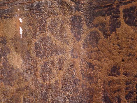Gold Butte Rock Art