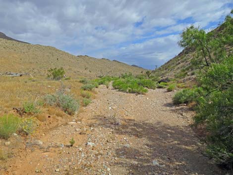 Paradise Valley