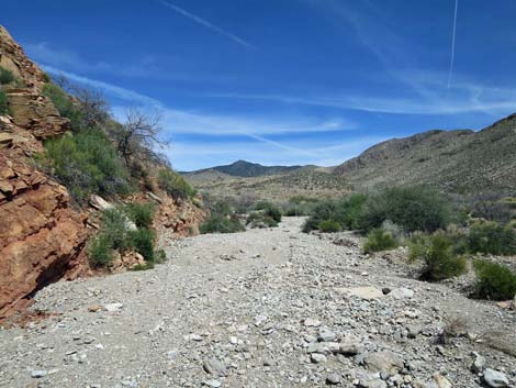 Whitney Wash Loop