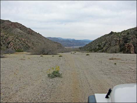 Devils Cove Road