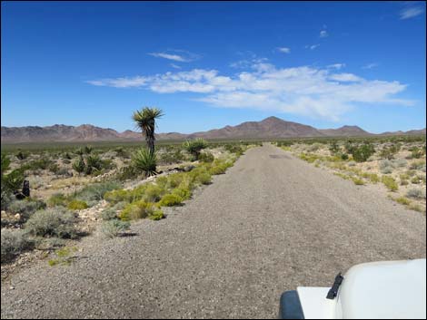 Gold Butte Road