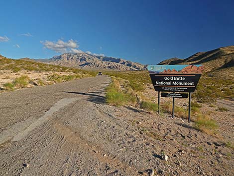 Gold Butte Road