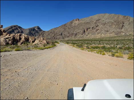 Gold Butte Road