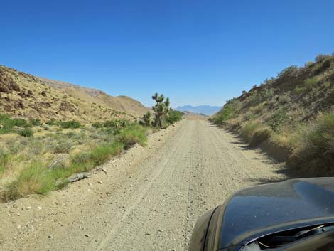 Gold Butte Road