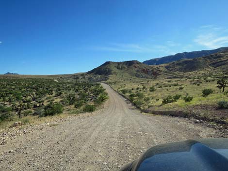 Gold Butte Road