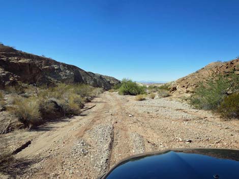 Gold Butte Wash Road