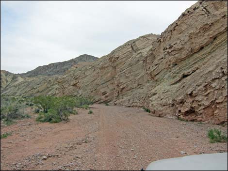 Gold Butte Wash Road