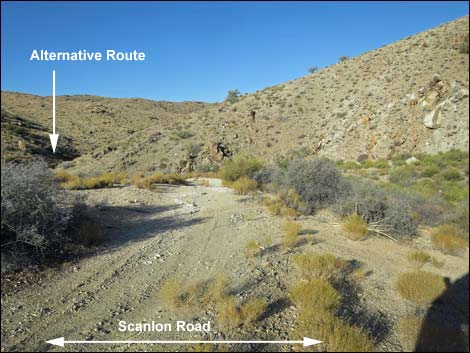 Scanlon Road