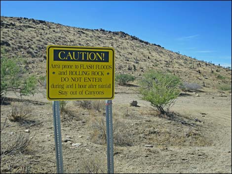 Scanlon Road