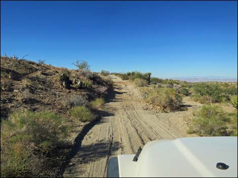 Scanlon Road