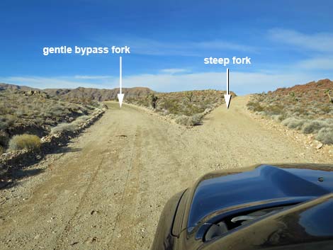 St Thomas Gap Road
