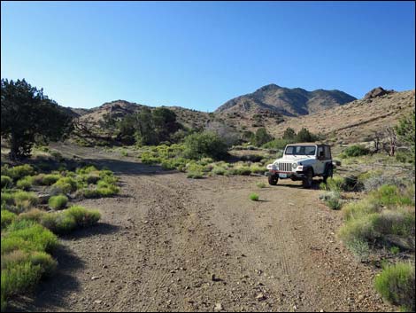 Mica Mine Road