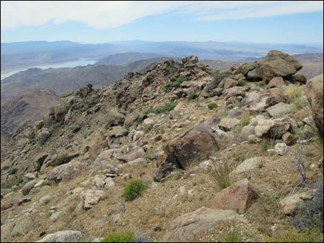 Shark Tooth Peak