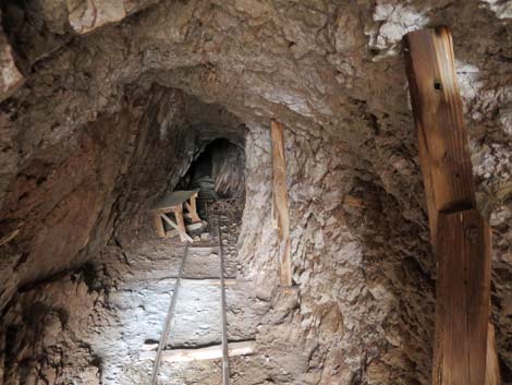 Tramp Mine