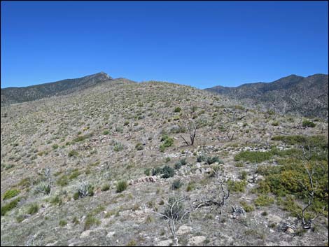 Virgin Peak