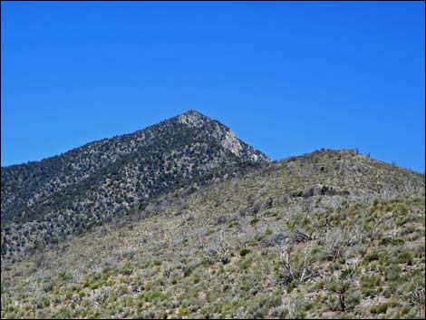 Virgin Peak