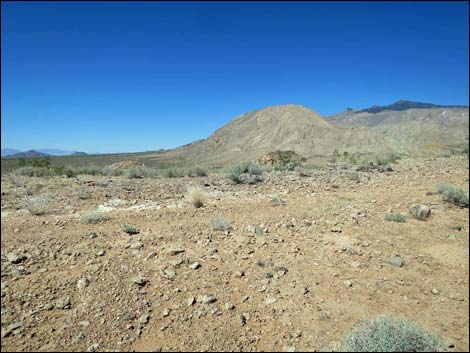 Whitney Pocket Overlook Trail