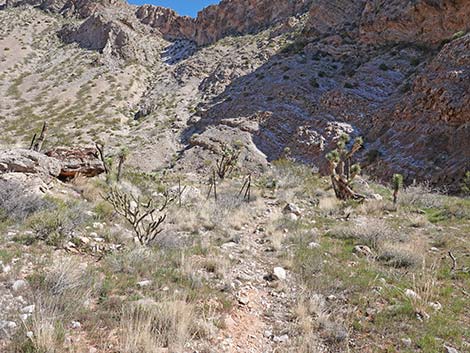 Whitney Wash