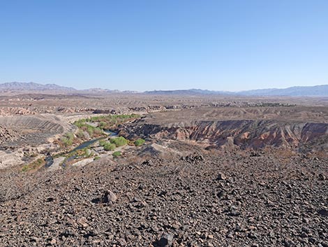 bluff trail