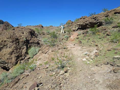 Colorado River Overlook