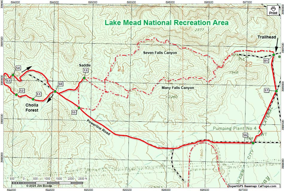 Cholla Forest Loop Map