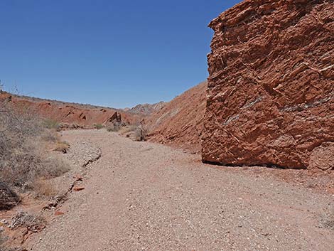 Cottonwood Wash