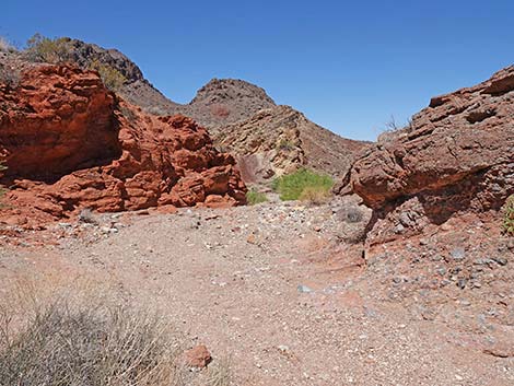 Cottonwood Wash