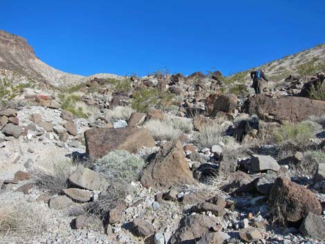 Fortification Hill