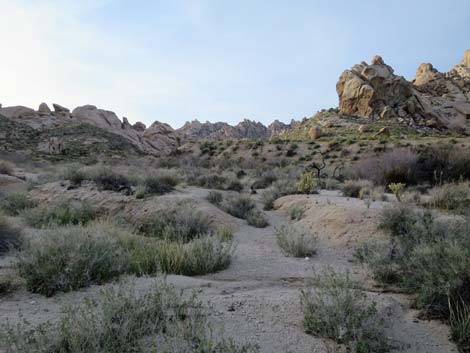 Grapevine Canyon
