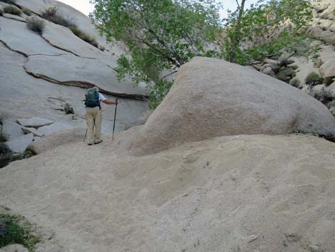 Grapevine Canyon