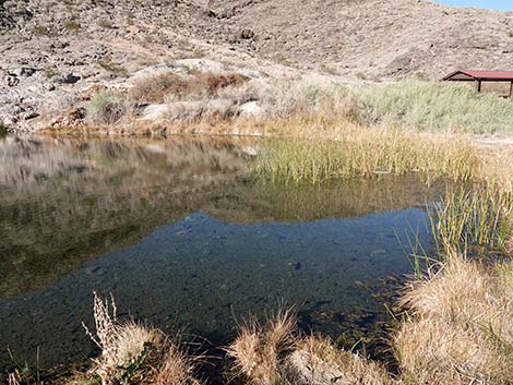 Rogers Spring