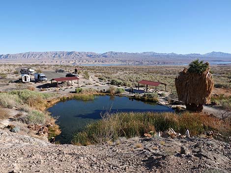 Rogers Spring
