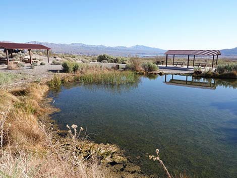 Rogers Spring