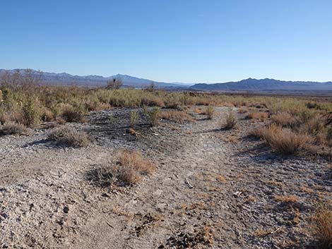 Rogers Spring