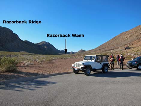 Razorback Wash South