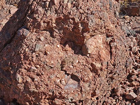 Conglomerate Rocks