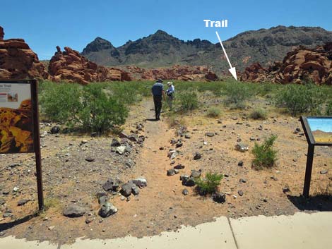 Redstone Dune Loop Trail