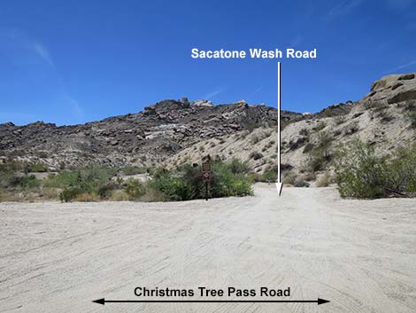 Christmas Tree Pass Road