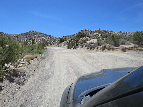 Christmas Tree Pass Road