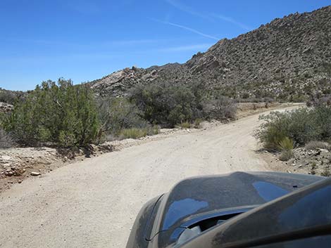 Christmas Tree Pass Road