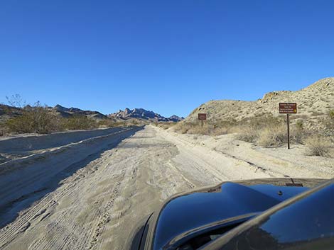 Christmas Tree Pass Road
