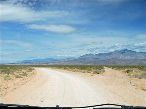 Double Negative Road