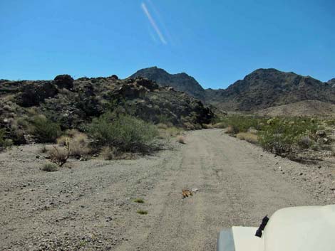 Camp Dupont Mine Road