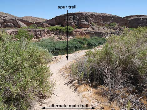 Wetlands Trail