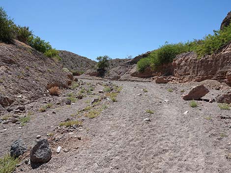 Wetlands Trail
