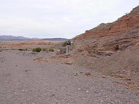 White Owl Canyon